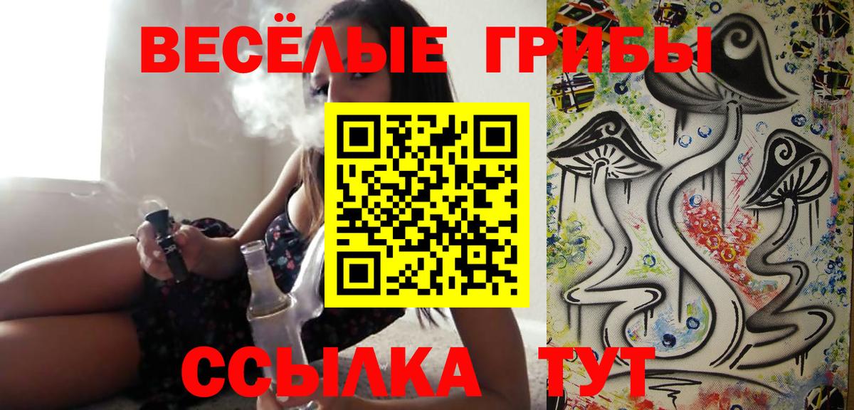 Псилоцибиновые грибы Cubensis  Вход с VPN  Галлюциногенные грибы ЛСД  Богородицк 