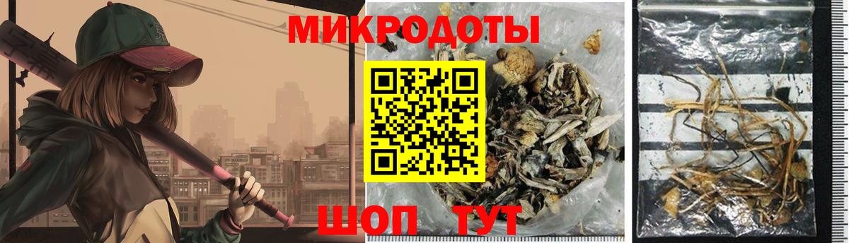 Галлюциногенные грибы Psilocybe Богородицк